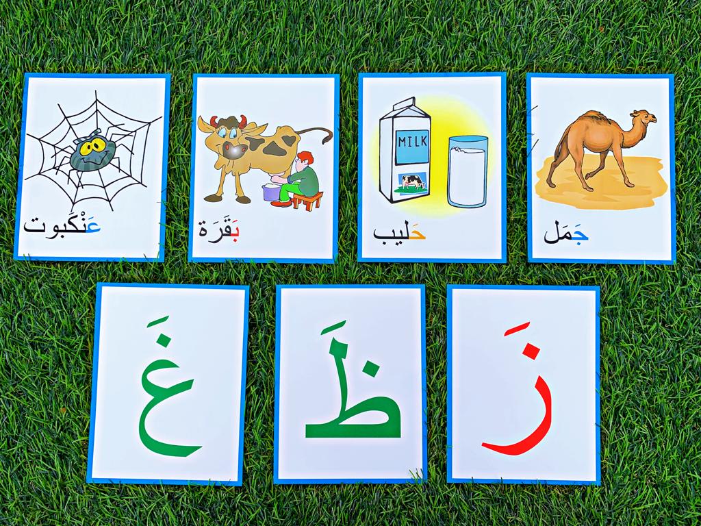 Flashcards