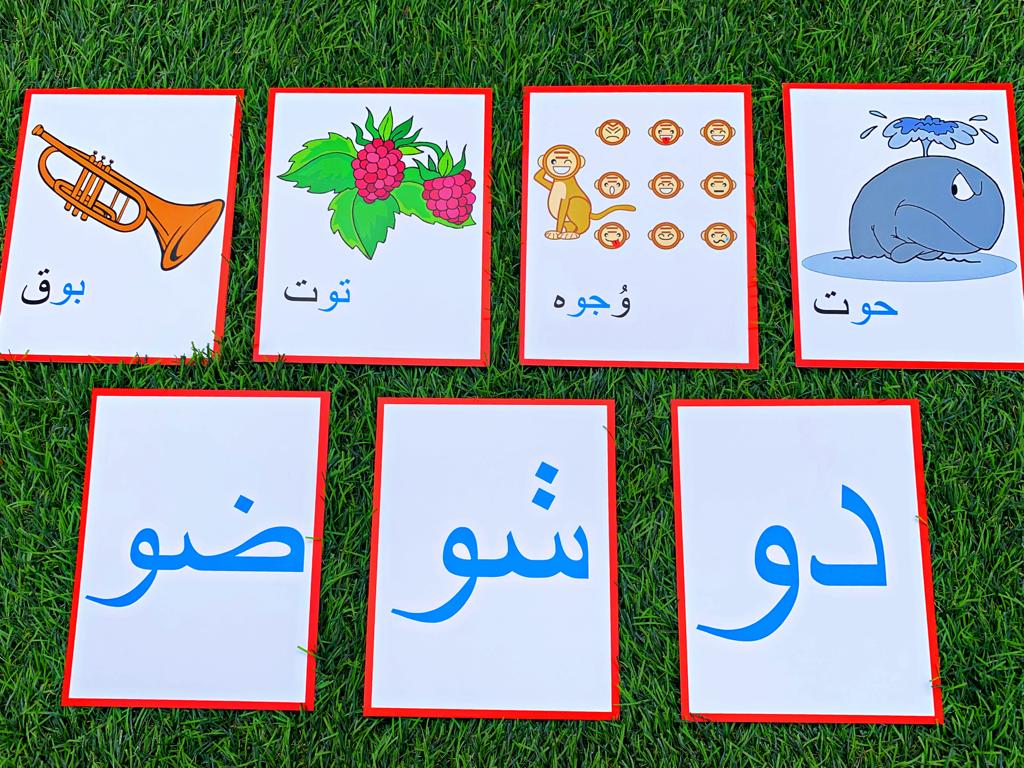 Flashcards