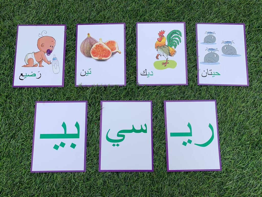 Flashcards