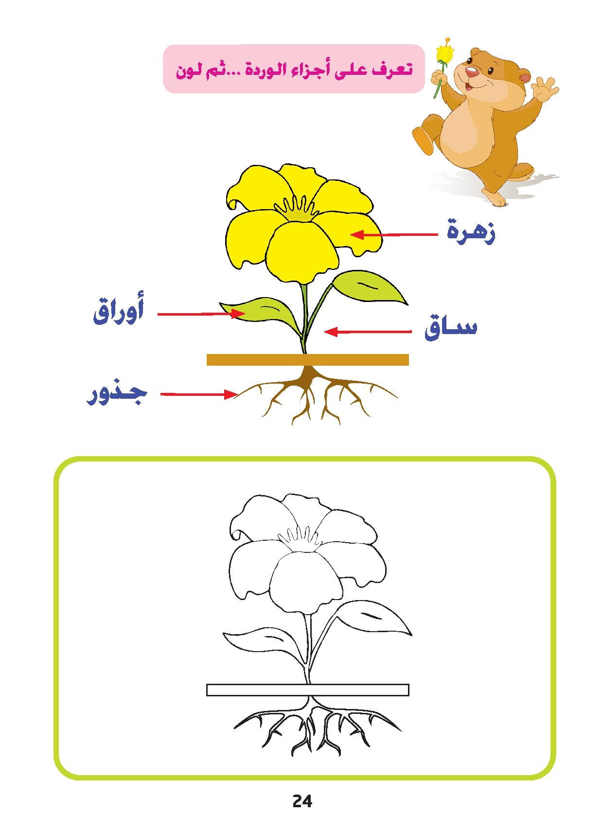 Love Science - KG1